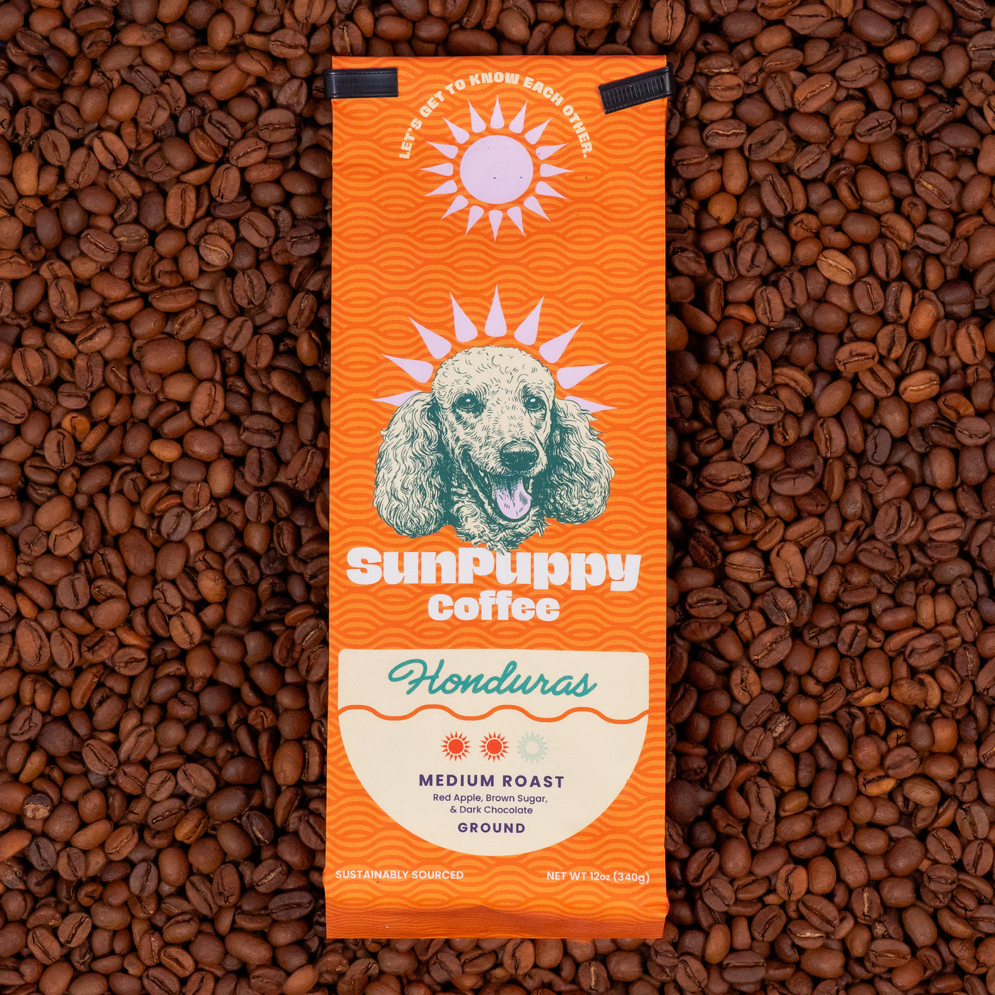 SunPuppy Honduran Coffee: The History Behind Sweet Mountain Beans guide image