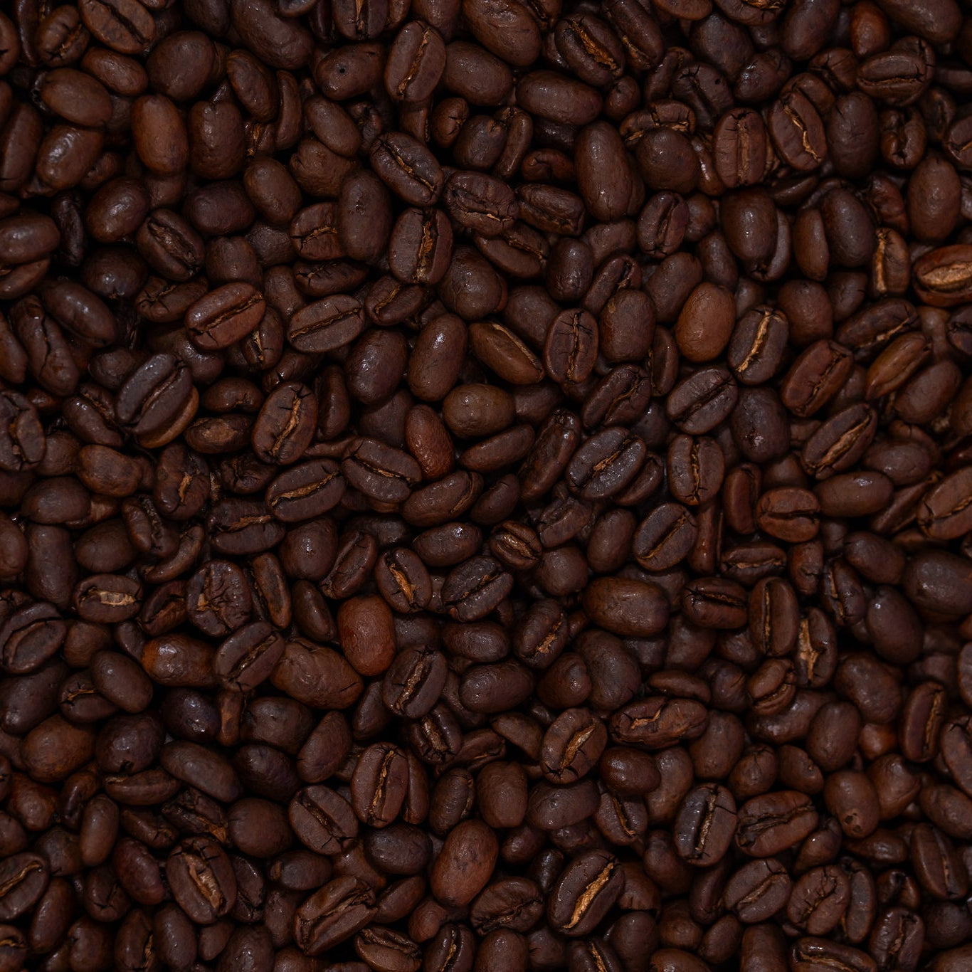 Close-up of roasted coffee beans