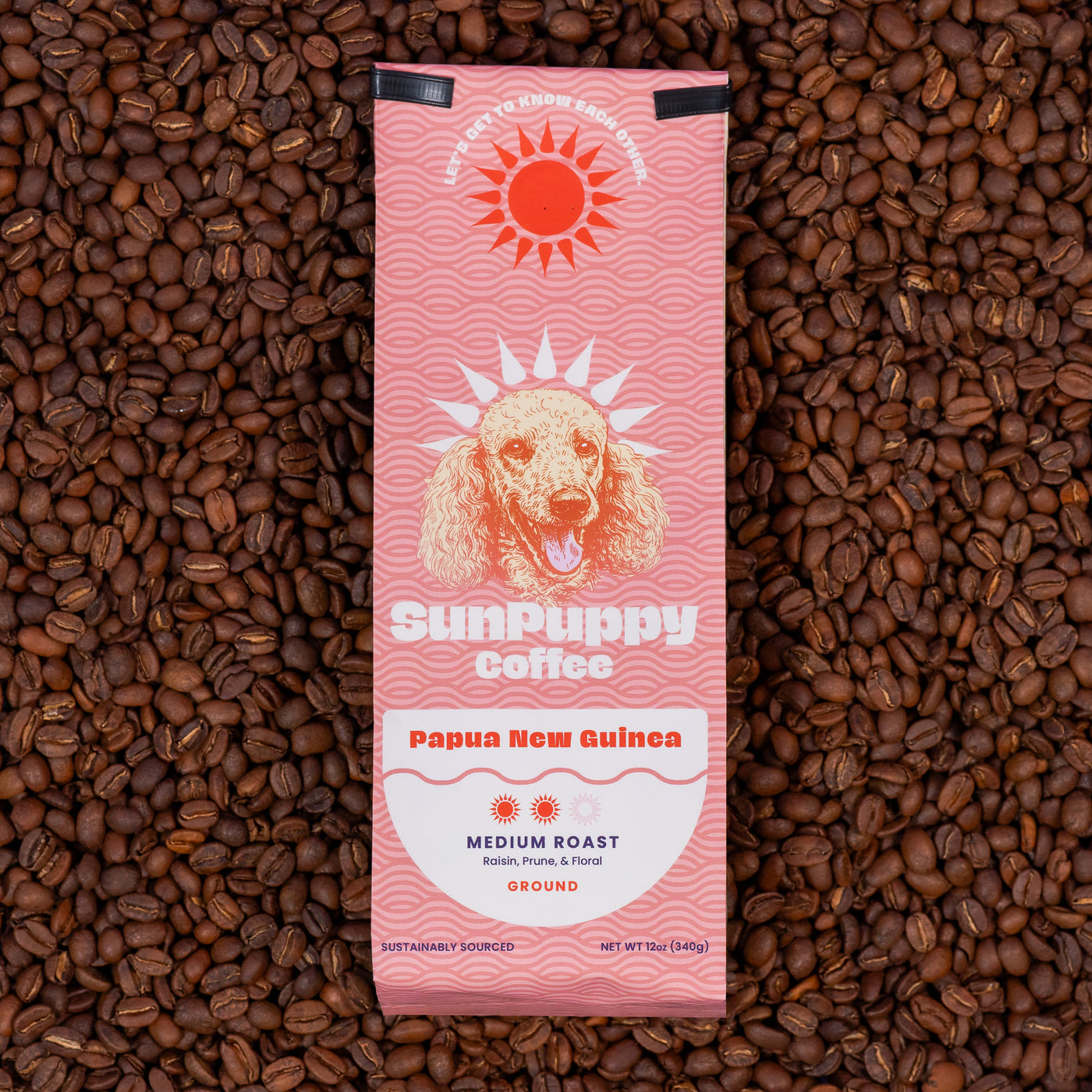 SunPuppy Papua New Guinea Coffee: The History Behind PNG Beans guide image